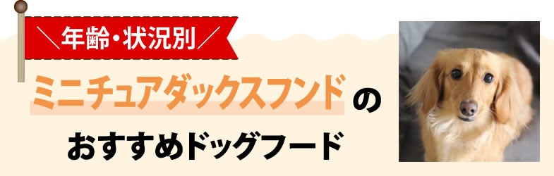 【年齢・状況別】ミニチュアダックスフンドのおすすめドッグフード
