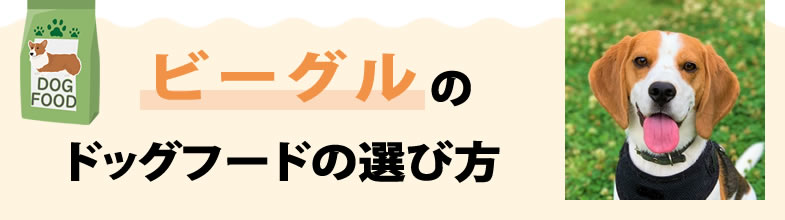 ビーグルのドッグフードの選び方