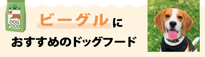 ビーグルにおすすめのドッグフード