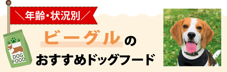 【年齢・状況別】ビーグルのおすすめドッグフード