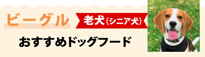 ビーグル老犬（シニア犬）におすすめドッグフード