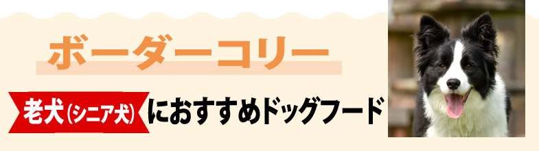 ボーダーコリー老犬（シニア犬）におすすめドッグフード