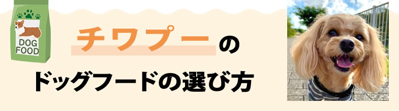 チワプーのドッグフードの選び方