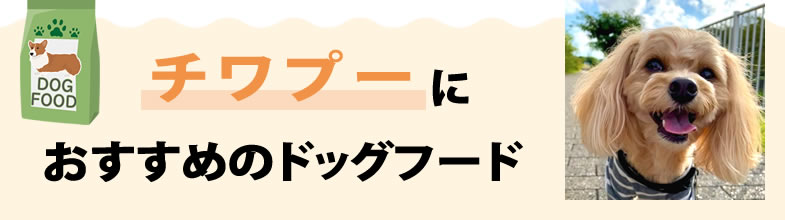 チワプーにおすすめのドッグフード