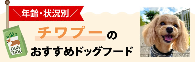 【年齢・状況別】チワプーのおすすめドッグフード