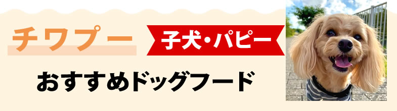 チワプー子犬・パピーにおすすめドッグフード