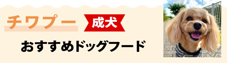 チワプー成犬におすすめドッグフード