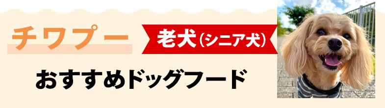 チワプー老犬（シニア犬）におすすめドッグフード