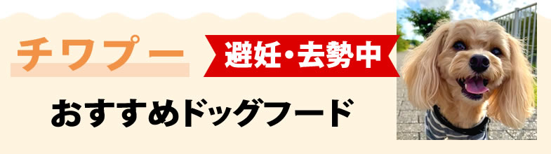 チワプー避妊・去勢中におすすめドッグフード