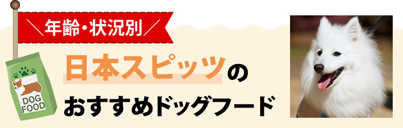 【年齢・状況別】日本スピッツ犬のおすすめドッグフード