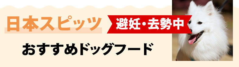 日本スピッツ犬避妊・去勢中におすすめドッグフード