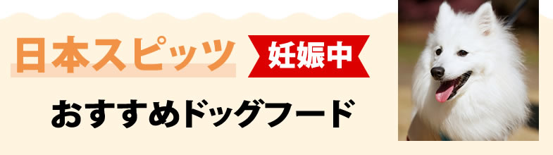 日本スピッツ犬妊娠中におすすめドッグフード