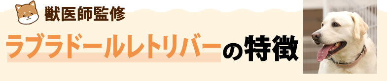 ラブラドールレトリバーの特徴