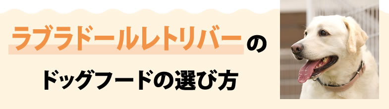 ラブラドールレトリバーのドッグフードの選び方