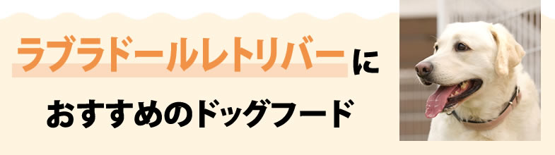 ラブラドールレトリバーにおすすめのドッグフード