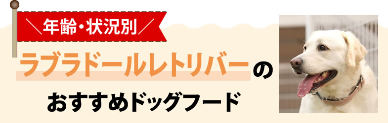 【年齢・状況別】ラブラドールレトリバーのおすすめドッグフード