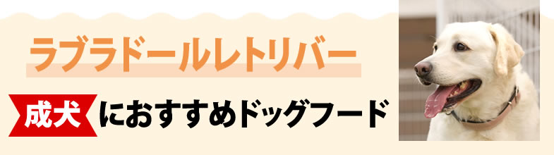 ラブラドールレトリバー成犬におすすめドッグフード