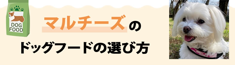 マルチーズのドッグフードの選び方