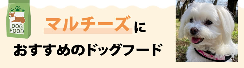 マルチーズにおすすめのドッグフード