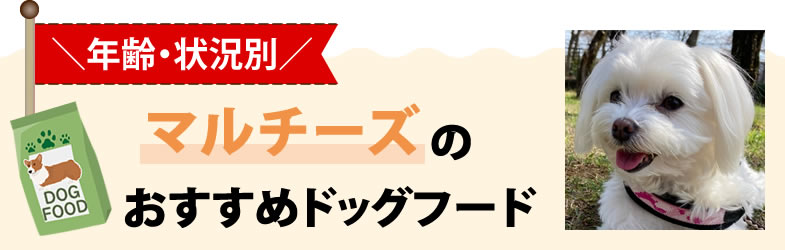 【年齢・状況別】マルチーズのおすすめドッグフード