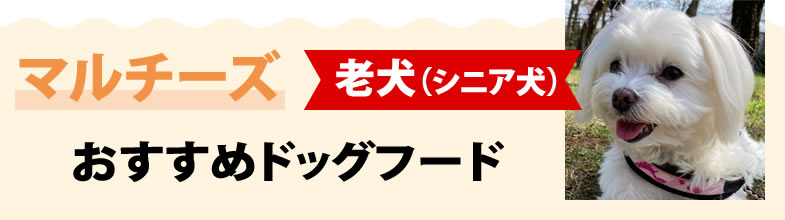 マルチーズ老犬（シニア犬）におすすめドッグフード