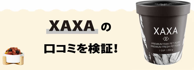 XAXAの口コミを検証！