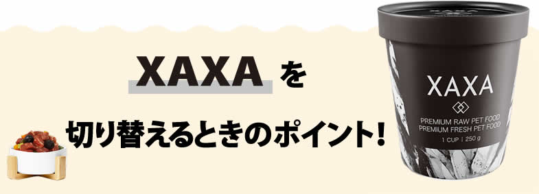 XAXAを切り替えるときのポイント！